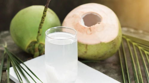椰子水不安全 谁更适合喝椰子水