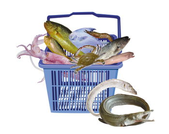宁波人最爱吃的海产品 带鱼黄鱼鲳鱼名列前三