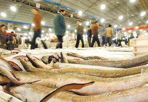 宁波海鲜市场加速 减量增质 主要水产品交易量下滑