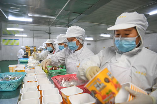 贵州麻江 食品企业创新发展促就业助增收
